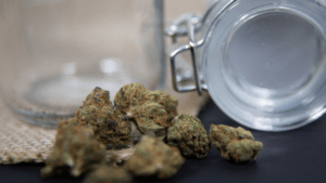 Medical Cannabis Legalization Across the United States by 2022